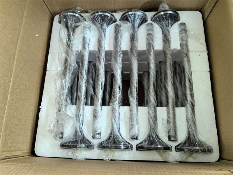 Клапан впускной 601.03.15 10821002 H16V190