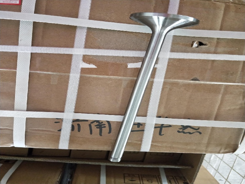 601.03.14A впускной клапан 601T.03.15 выпускной клапан газопоршневого генератора Jichai 1MW