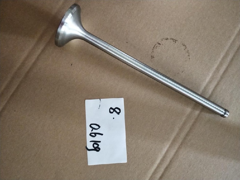 601.03.14A впускной клапан 601T.03.15 выпускной клапан газопоршневого генератора Jichai 1MW