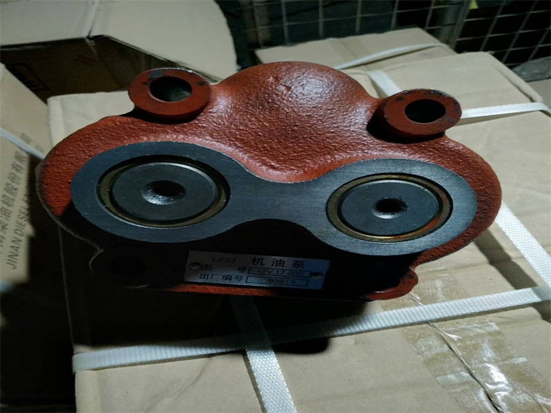 206L.05.01 Поршень Piston Jinan Diesel 8190 6190