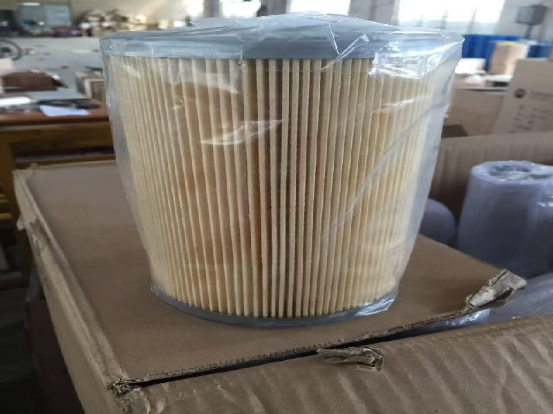 Топливный насос 208L.12P.00 BHT8P170LY для двигателя Jichai Jinan 8190