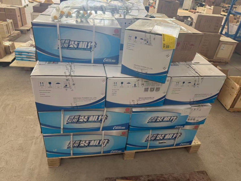 X6231.186W X6231.186W